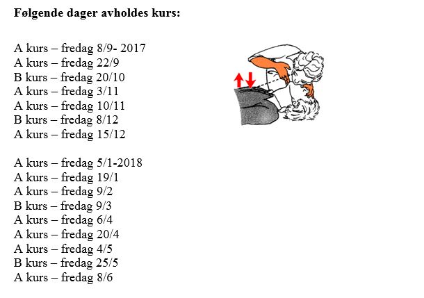 Livredningskurs