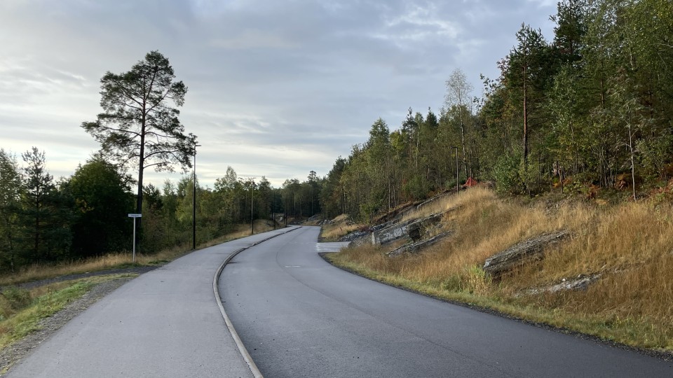 Lenke til artikkel: Enstemmig vedtak: Ingen anke av tingrettsdommen