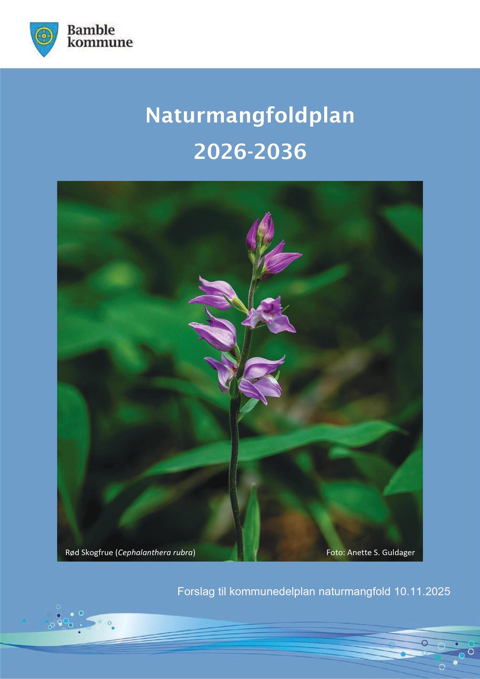 Bildet av blomsten rød skogsfrue som er en truet art.