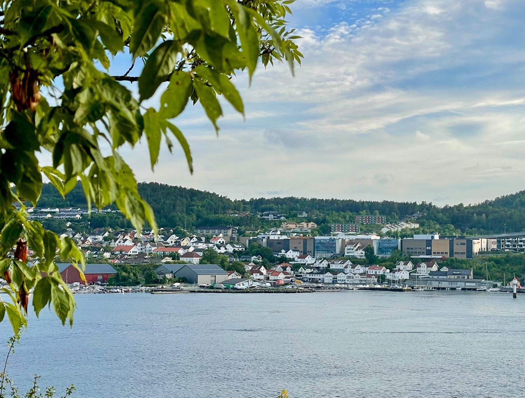 Bilde over boliger sett fra Brevik