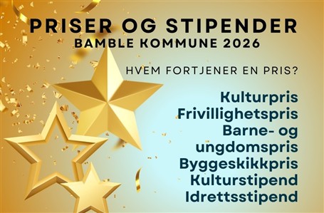 Lenke til artikkel: Hvem bør hedres for sin innsats i Bamble?