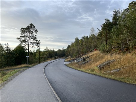 Lenke til artikkel: Enstemmig vedtak: Ingen anke av tingrettsdommen