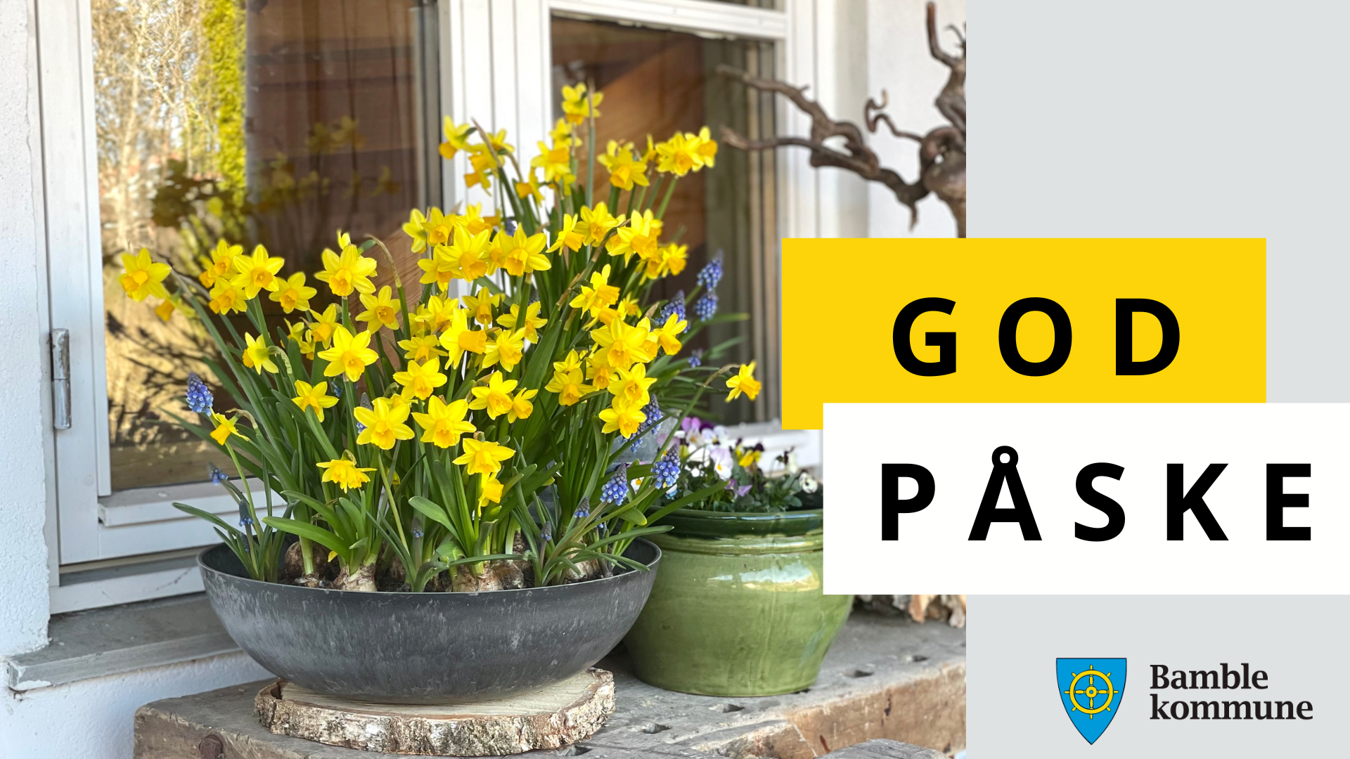 Plakat med god påske på og påskeliljer i en krukke