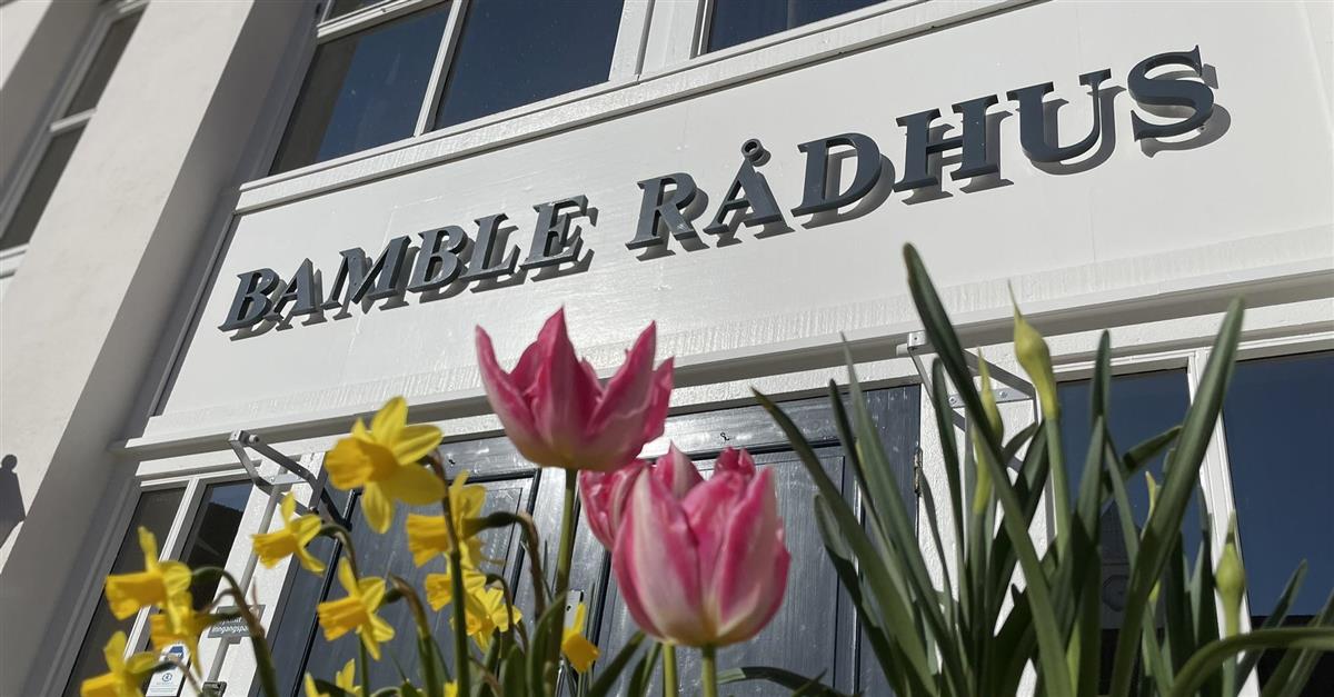 Nærbilde av blomster på utsiden av rådhuset - Klikk for stort bilde